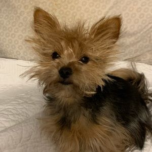 Meet your Posher, Laura